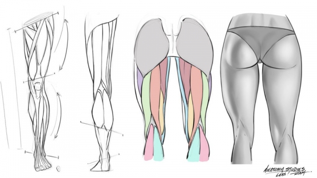 Leg Anatomy Reference Sheet for Comic Aritsts