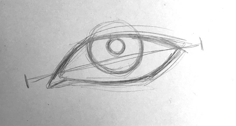 Step 2 - Drawing the Iris and the Pupil