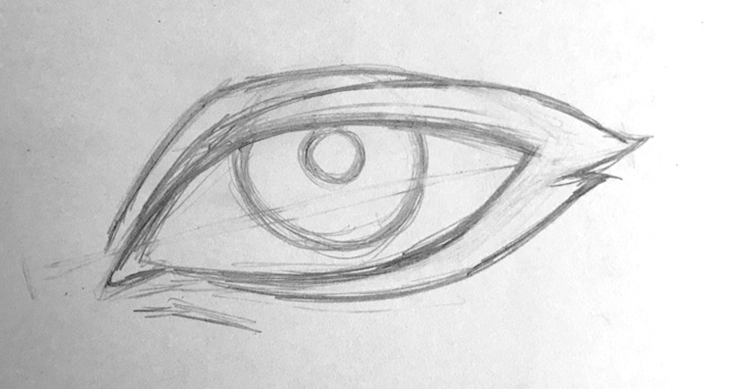 Step 4 - Drawing the Shape of the Eye Lashes