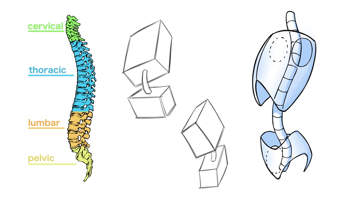 How to Draw the Torso with Simplified Anatomy - Ram Studios Comics