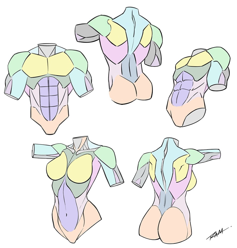 How To Draw The Torso With Simplified Anatomy Ram Studios Comics