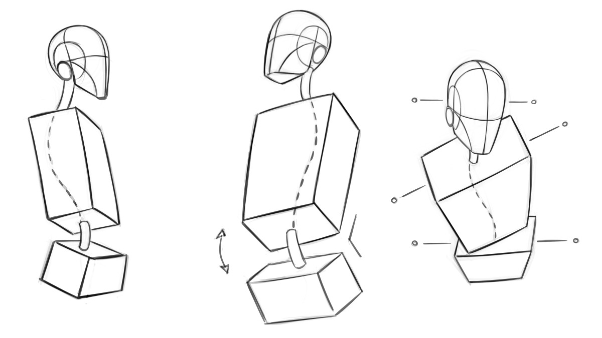 How To Draw The Torso Front View Human Anatomy Art Human Anatomy ...