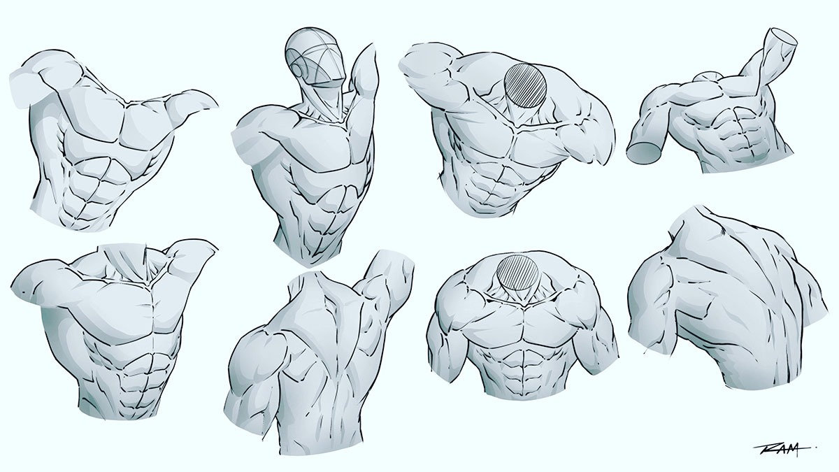 How to Draw a Male Torso - Anatomy Drawing - YouTube