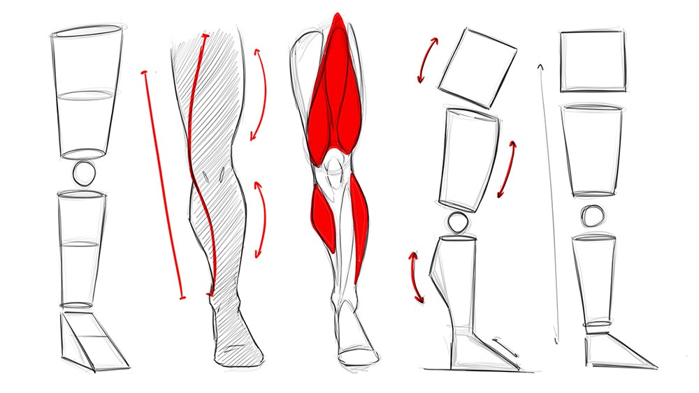 5 Tips on How to Draw Leg Anatomy -Tutorial - Ram Studios Comics