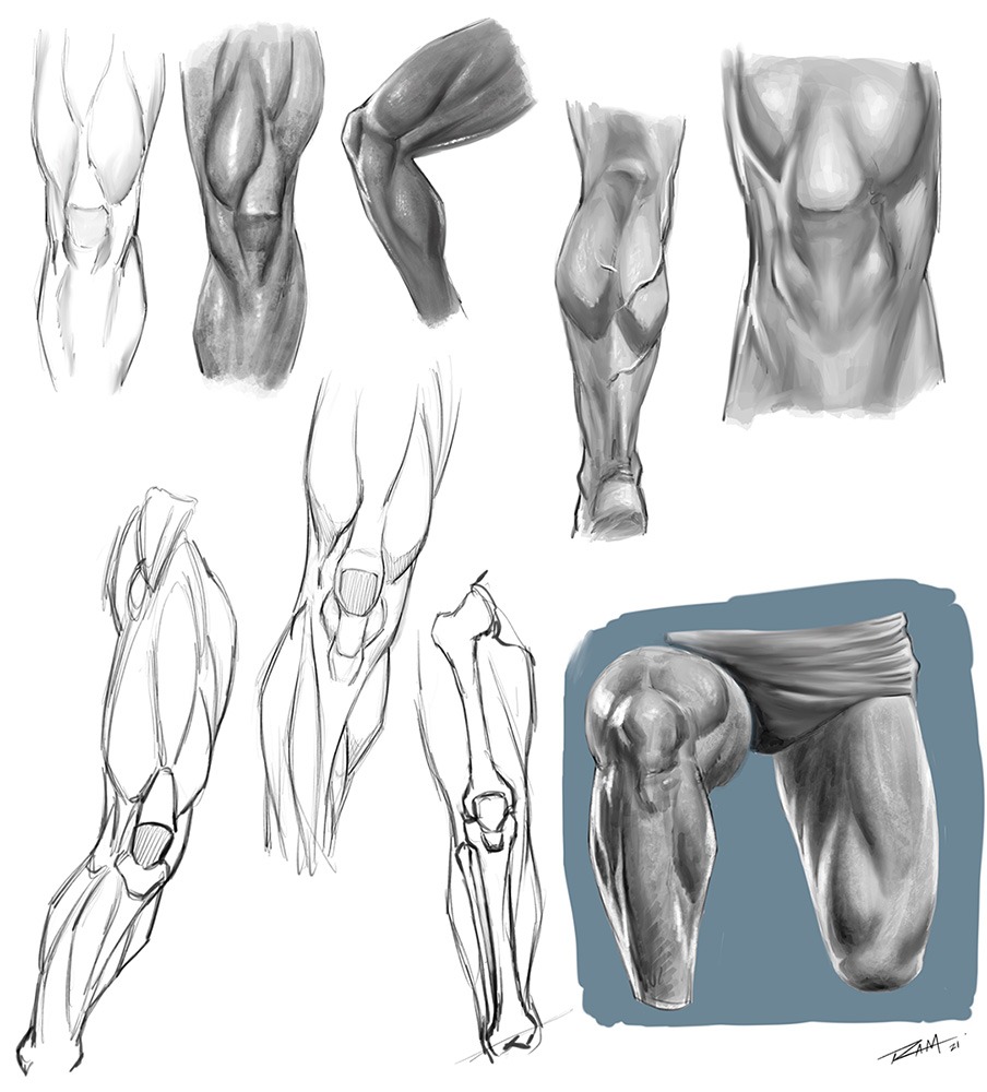 What are some tips for learning how to draw human anatomy? - Quora