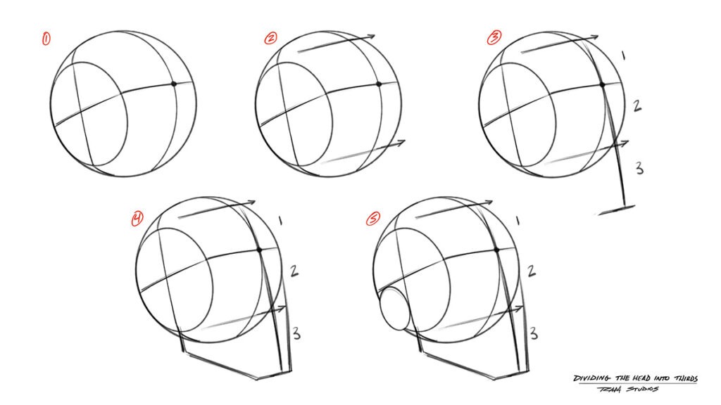 How to Draw Heads - Dividing the Face into Thirds