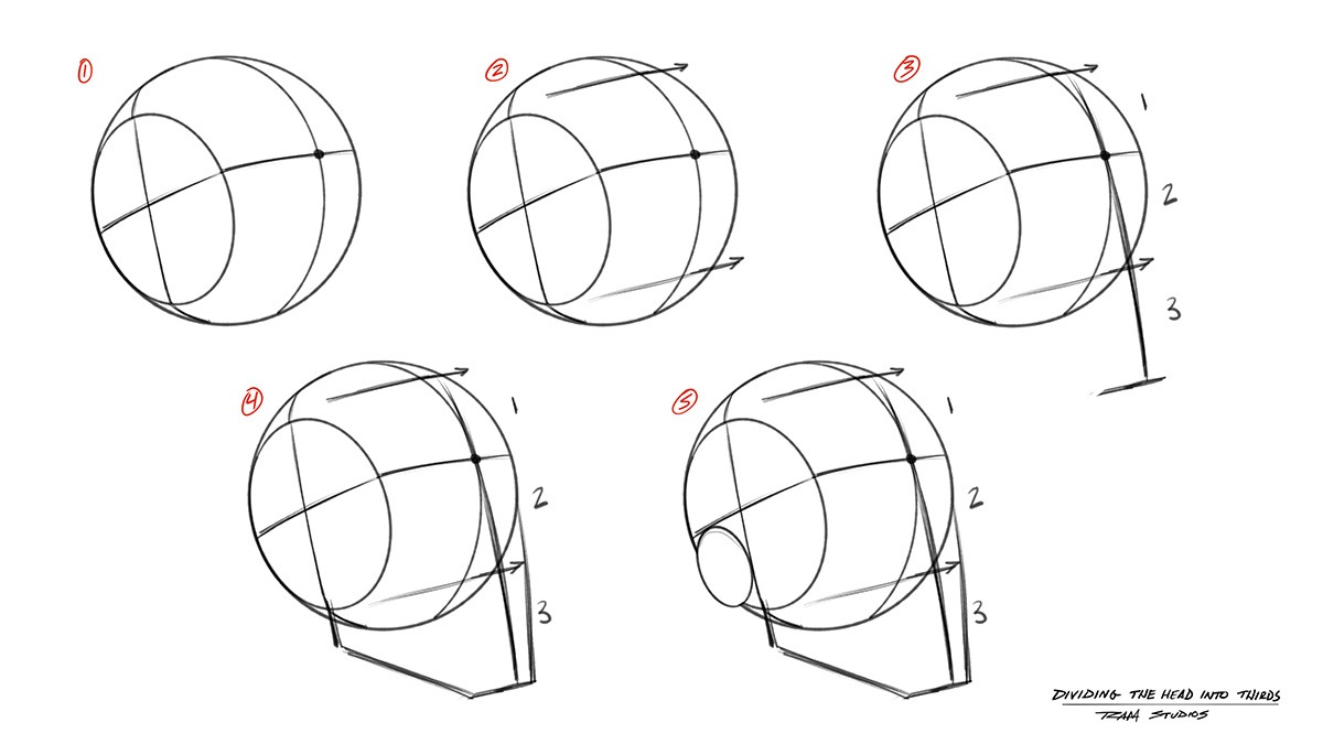 How to Draw Heads - Dividing the Face into Thirds