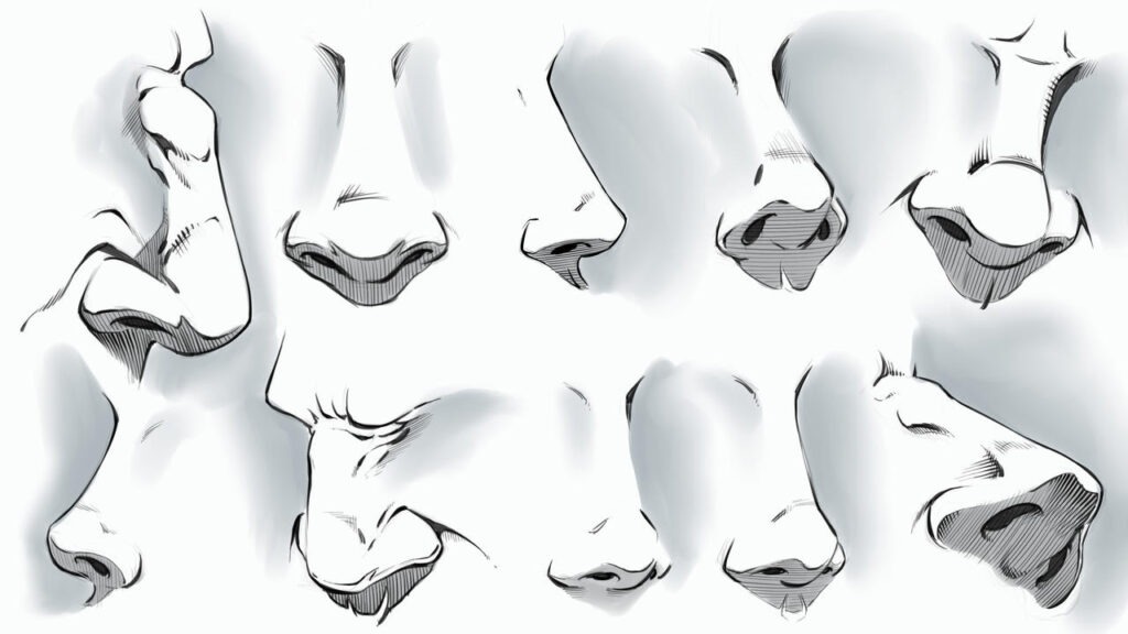 Drawing Noses from Different Angles