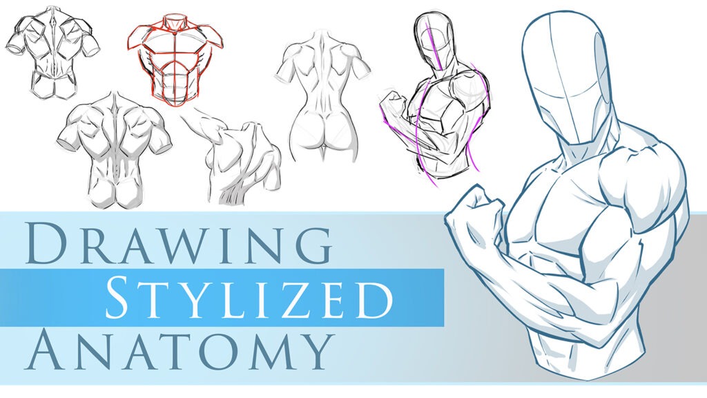 How to Draw Stylized Poses and Anatomy