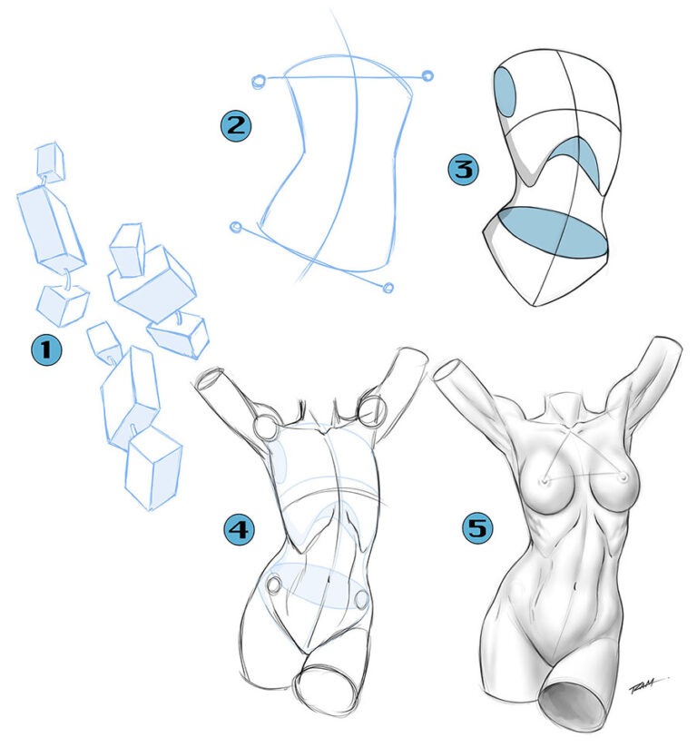 How to Draw the Figure with Basic Forms - Ram Studios Comics
