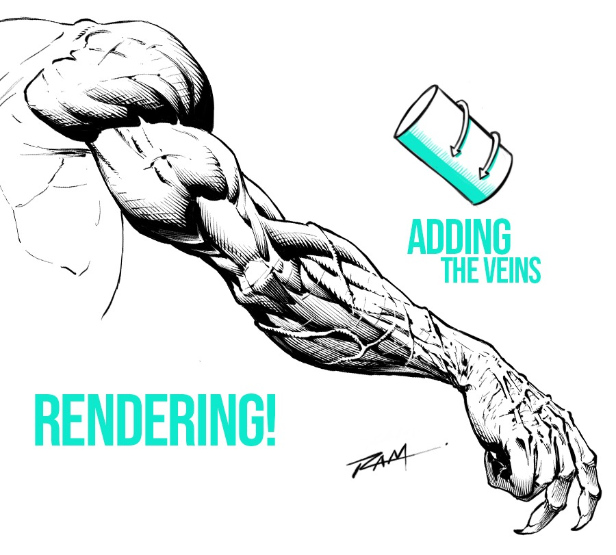 Rendering and Adding the Veins