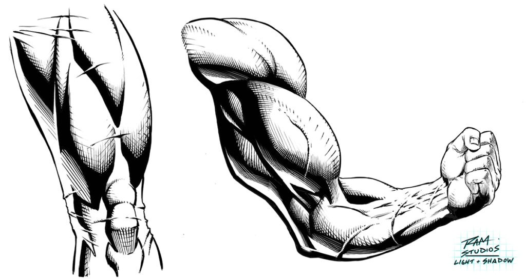 Drawing a Single and Dual Light Source