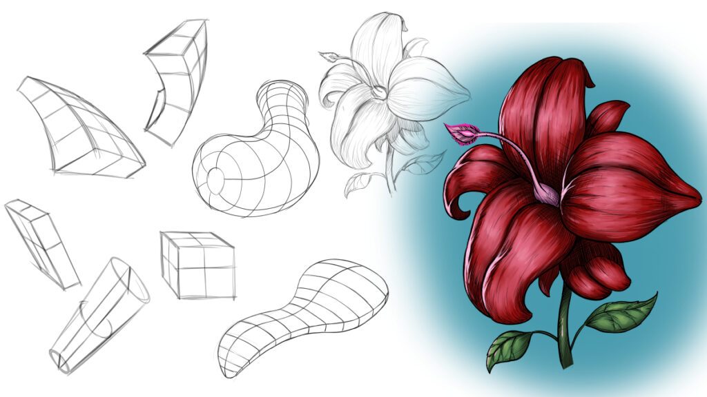 How to Draw with Organic Forms