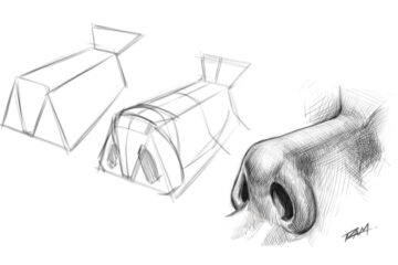 How to Draw Noses - Structure and Rendering