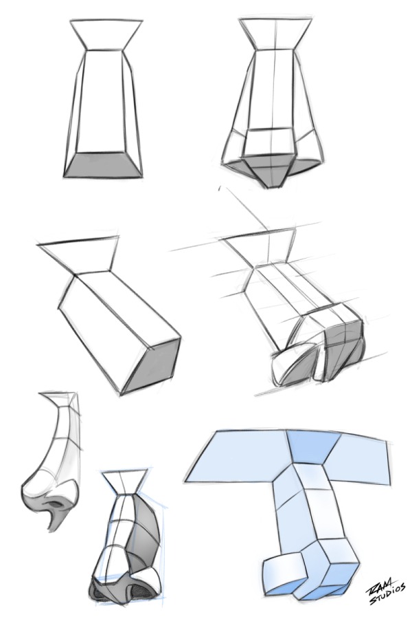 Secondary Planes of the Nose