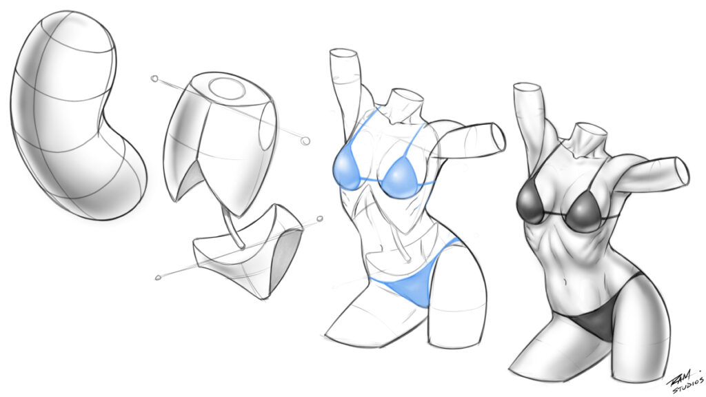 How to Draw the Figure with the Bean Shape Method