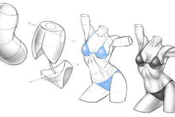 How to Draw the Figure with the Bean Shape Method