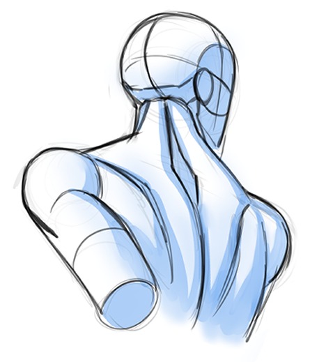 Back Angle View of the Head and Neck Twisting