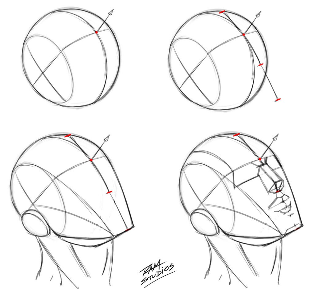 Drawing the Loomis Head Step by Step Process